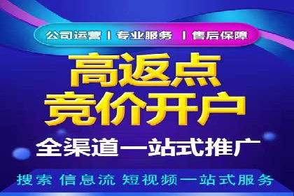 百度竞价排名实战：关键词优化与落地页优化案例